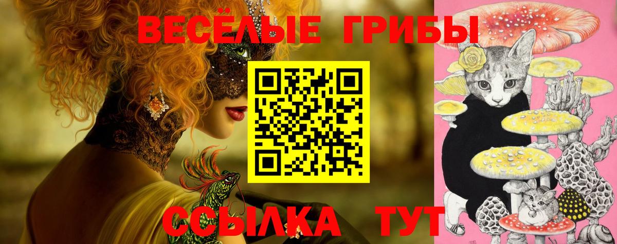 Мытищи  Псилоцибиновые грибы Psilocybe  Вход с VPN 